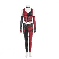 Batman: Arkham City Harley Quinn Cosplay Costume