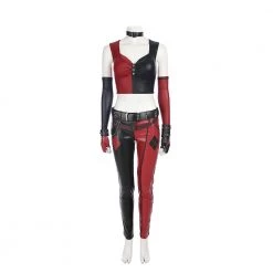 Batman: Arkham City Harley Quinn Cosplay Costume -Game Costumes Shop COS 001 04 66