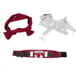 Assassin's Creed II Ezio Auditore Da Firenze Black Edition Cosplay Costume Version 2 -Game Costumes Shop COS 004 09 4