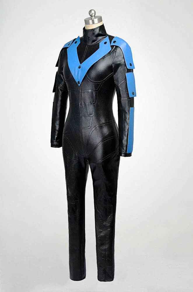 Batman: Arkham City Nightwing Cosplay Costume 4 Batman: Arkham City Nightwing Cosplay Costume - Image 2