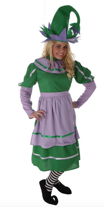 The Wizard Of Oz Elf Cosplay Costume 4 The Wizard Of Oz Elf Cosplay Costume - Image 2