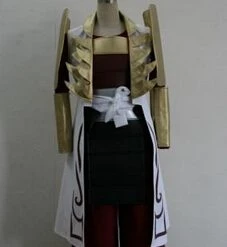 Sengoku Musou 2 Samurai Warriors 2 Sakon Shima Cosplay Costume