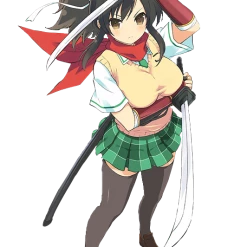 Senran Kagura Burst Re:Newal Asuka Cosplay Costume