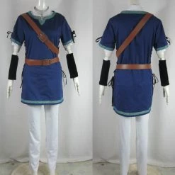 The Legend Of Zelda Link Blue Cosplay Costume
